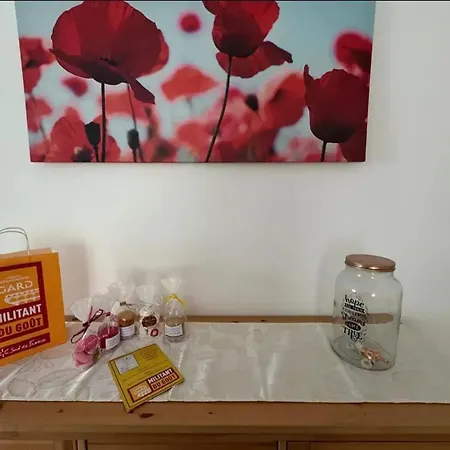 度假居 Maison Charmante Avec Piscine Et Jardin A Robiac-rochessadoule *